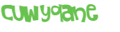 Wyzwanie captcha