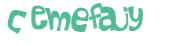 Captcha 챌린지