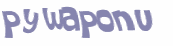 Captcha挑战