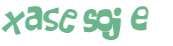 CAPTCHA 挑戰