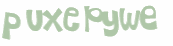 Wyzwanie captcha