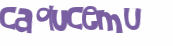 Captcha 챌린지