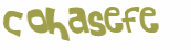 CAPTCHA 挑戰
