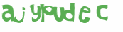 Desafio Captcha