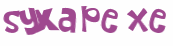 Captcha 챌린지