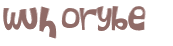 CAPTCHA 挑戰