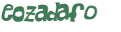 Desafio Captcha