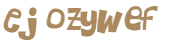 Wyzwanie captcha