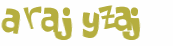 Captcha挑战