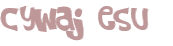 CAPTCHA 挑戰