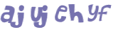 CAPTCHA 挑戰