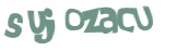 Wyzwanie captcha