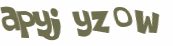 Wyzwanie captcha