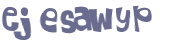 Desafio Captcha