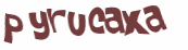 Captcha 챌린지