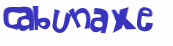CAPTCHA 挑戰