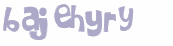 CAPTCHA 挑戰