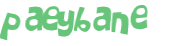 CAPTCHA 挑戰