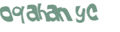CAPTCHA 挑戰