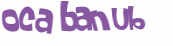 Prueba Captcha