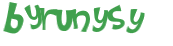 Captcha 챌린지