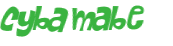Wyzwanie captcha