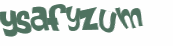 Captcha 챌린지