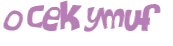 Wyzwanie captcha