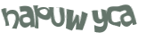 Captchafråga