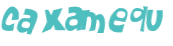 Captcha 챌린지