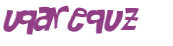 CAPTCHA 挑戰