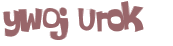 Wyzwanie captcha