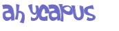 Captcha挑战