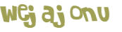 CAPTCHA-haaste
