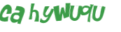 Wyzwanie captcha