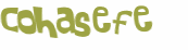 CAPTCHA 挑戰