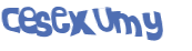 Captcha 챌린지
