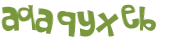 CAPTCHA 挑戰