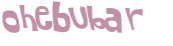 Captcha 챌린지