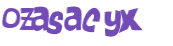 CAPTCHA 挑戰
