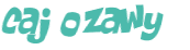 Captchafråga