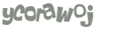 Captcha-Test