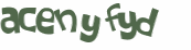 Wyzwanie captcha