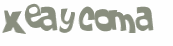 CAPTCHA-haaste