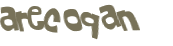 CAPTCHA-haaste
