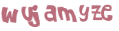 CAPTCHA 挑戰