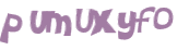 CAPTCHA 挑戰