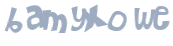 Wyzwanie captcha