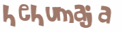 Desafio Captcha