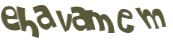 CAPTCHA 挑戰